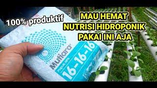 nutrisi alternatif Hidroponik super hemat