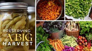 Preserving a BIG Garden Harvest for the Homestead Pantry #everybitcountschallenge