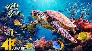 Ocean 4K - Sea Animals for Relaxation Beautiful Coral Reef Fish in Aquarium - 4K Video Ultra HD #2