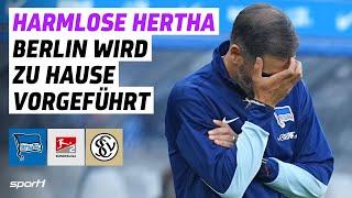 Hertha BSC - SV Elversberg  2. Bundesliga Tore und Highlights 7. Spieltag