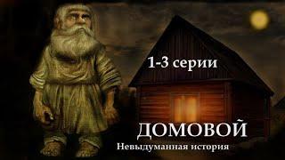 ДОМОВОЙ - Невыдуманная история. 1 - 3 серии. Цикл ведьма Надежда 2 часть. МИСТИКА.