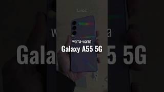 Warna-warna pilihan samsung Galaxy A55 5G Resmi Indonesia