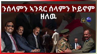 ንሰላምን ኣንጻር ሰላምን ኮይኖም ዘለዉ#aanmedia #eridronawi #eritrea #ethiopia