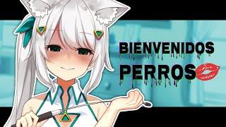 ¡Aquí una Vtuber para esos que buscan estimulación【HizukiMiu】