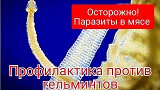 КАК НЕ ЗАРАЗИТЬСЯ ОПАСНЫМИ ГЕЛЬМИНТАМИ. Паразиты в мясе.