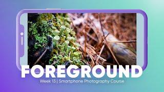 Using Foreground Elements To Enhance Storytelling In Smartphone Photography  Week 13