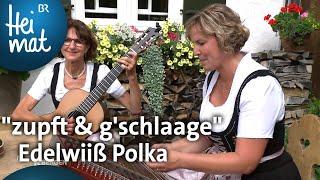 Stubenmusik „zupft & g’schlaage“ Edelwiiß Polka  Musik in den Bergen  BR Heimat - Volksmusik