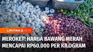 Harga Bawang Merah Makin Meroket Hingga Rp60.000 per Kilogram  Liputan 6