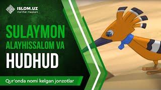 20. Sulaymon alayhissalom va Hudhud 1-qism  Quronda nomi kelgan jonzotlar