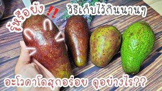 วิธีเลือกอะโวคาโด สุกอร่อยดูอย่างไร  วิธีเก็บอโวคาโดสุก และยังไม่สุกไว้กินนานๆ ไม่ให้ดำครัวแม่ผึ้ง