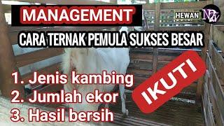 PANDUAN TERNAK KAMBING PEMULA SUKSES GAJI LEWATI PNS  BREEDING