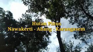 Hutan Pinus Karangasem