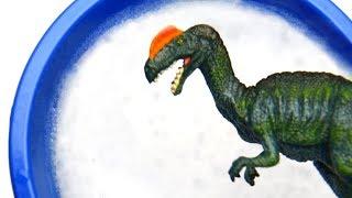 Dinosaur Mystery Box Challenge Dinosaurs for Kids