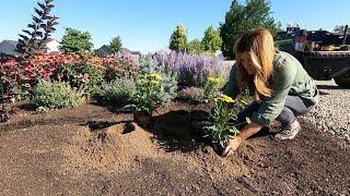 Planting 5 Varieties of Echinacea -  They LOVE the Heat   Garden Answer