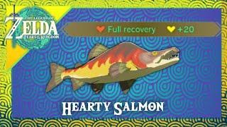 Hearty Salmon Tears of the Kingdom