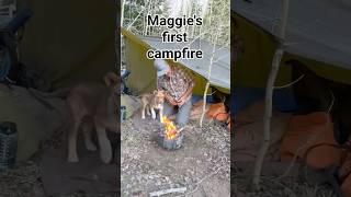 Maggies first campfire. Full tarp camping trip video now live   #camping #bushcraft