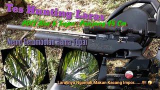 Tes Hunting Laras PD12 Alur 6 Super Panjang 45 Cm Ada Gerombolan Hama Tupai