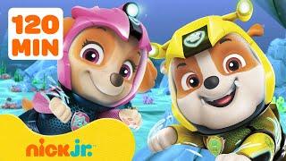 PAW Patrol Anywhere But Adventure Bay Rescues  2 Hours  Nick Jr.