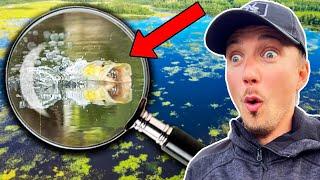 Exploring HUGE SHALLOW SWAMP - Topwater Fishing  Team Galant