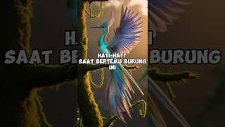 Hati Hati dengan burung ini yg pandai dalam menipu #faktaunik #feedshorts #shortvideo #animals