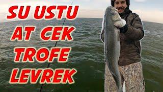 Trofe Levrek  At çek Su Ustu Levrek Avı  Sea Bass on Top Water Lure