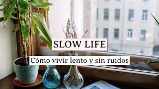 CÓMO VIVIR UNA VIDA SLOW Y TRANQUILA   Charla sincera sobre los ruidos en mi vida  Silvia Ahora