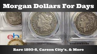 Morgan Dollars For Days - Rare 1893-S Carson Citys & More - PCGS