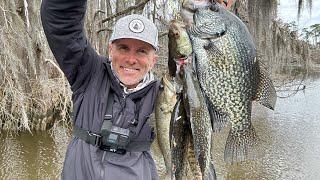 Jigging Crappie on Cypress Trees CATCH and COOK