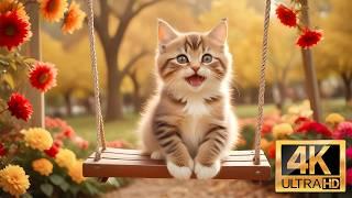 Baby Animals 4K  Adventures of Baby Animals in Autumn with Relaxing Music