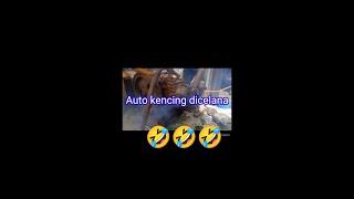 Auto kencing diceana#shorts