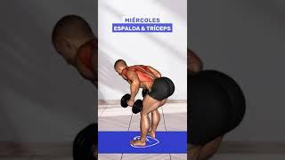 Rutina semanal para aumentar masa muscular con mancuernas 