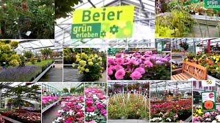 Beier Grün erleben Germany june 2022  tour of plant nursery in Germanypart 1 Seherm vlogs