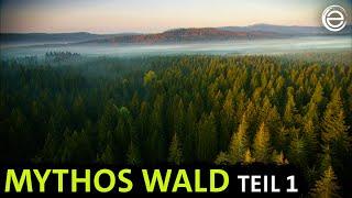 Mythos Wald ‒ Tierparadies und Schattenreich  Erlebnis Erde