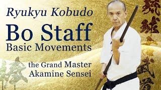 The best Bo Staff Basic  the Grand Master shows you  Ryukyu Kobudo  Ageshio Japan