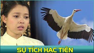 CỔ TÍCH ĐẶC SẮC THVL - Sự Tích Hạc Tiên  PHIM CỔ TÍCH DÂN GIAN VIỆT NAM TUYỂN CHỌN HAY MỚI NHẤT