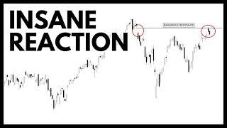 Technical Analysis of Stocks SPY  QQQ  NVDA  TSLA  AMD  SOFI  MU