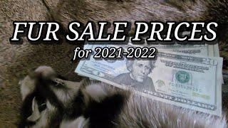 Fur Sale Prices 2021-2022