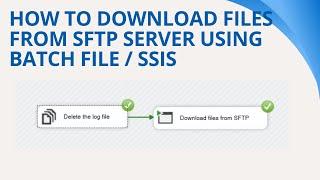 148 How to download files from sftp server using batch file  command line  ssis  WinScp