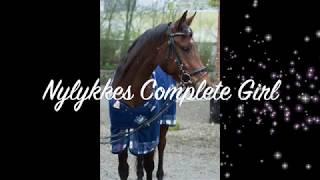 Nylykkes Complete Girl