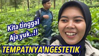 TEMPATNYA NGESTETIK CEMUWAH  Sampe gamau pulang