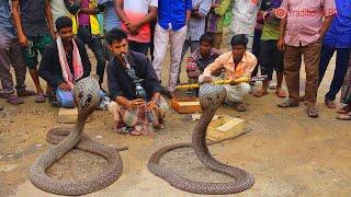 amazing street performers or busker   cobra flute music played by snake charmer