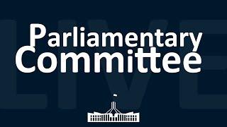 Senate Rural & Regional Affairs & Transport References Committee  09082024