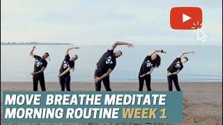 Move Breathe Meditate Week 1 Complete Flow with Dr. Brett Jones - The Source Chiropractic Tucson