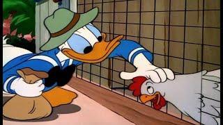 ᴴᴰ Pato Donald y Chip y Dale dibujos animados - Pluto Mickey Mouse Episodios Completos Nuevo 2023