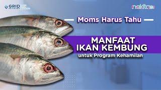 Manfaat Ikan Kembung untuk Program Kehamilan