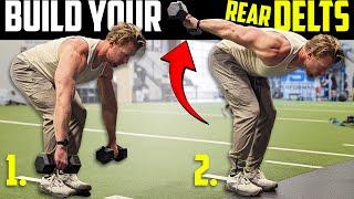 Dumbbell Shoulder Extensions Exercise Tutorial  Rear Delts