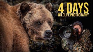 Wildlife Photography in The GREAT BEAR RAINFOREST  Best CAMERA SETTINGS  Grizzlies and Whales