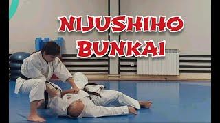  NIJUSHIHO KATA BUNKAI  #karate #kata #shotokan #bunkai