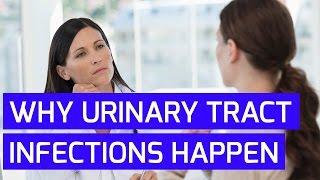 Why Urinary Tract Infections Happen  Total Urology Care