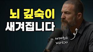 뇌신경과학자  20배 효과적인 학습방법 │ 앤드류 후버만